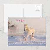 wit paard in sneeuw briefkaart (Voorkant / Achterkant)