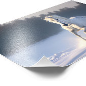 Wit Paard in Sneeuw, Paarden, Winter Foto Afdruk (Hoek)