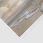 Wit paard loopt op het strand Decoupage Tissuepapier (Detail)