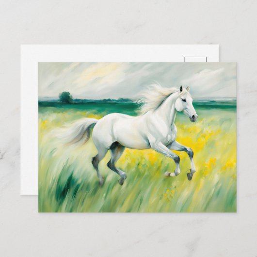 Wit paard loopt over de weide briefkaart (Voorkant / Achterkant)