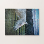 Wit paard op het boerderij met blauwe luchten puzz legpuzzel (Horizontaal)