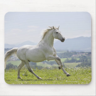 wit paard op weide muismat
