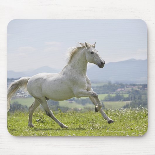 wit paard op weide muismat (Voorkant)