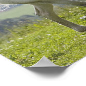 wit paard op weide poster (Hoek)