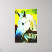 *~* Wit Paard over Omheining AR22 Paardachtige Canvas Afdruk (Voorkant)