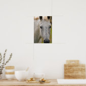 Wit Paard Portret Poster (Keuken)