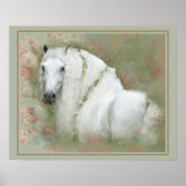 Wit Paard - Poster (Voorkant)