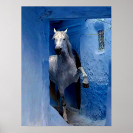 Wit Paard Reisposter Poster