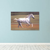 Wit paard rijdt in het veld canvas afdruk (Insitu (Houten vloer))