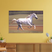 Wit paard rijdt in het veld canvas afdruk (Insitu (Woonkamer))