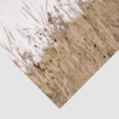 wit paard tissuepapier (Detail)