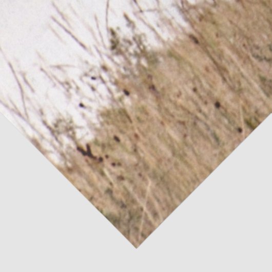 wit paard tissuepapier (Detail)