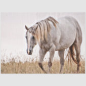 wit paard tissuepapier (Voorkant)