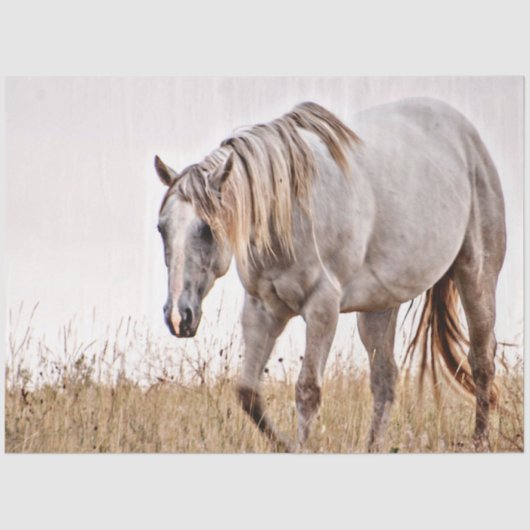 wit paard tissuepapier (Voorkant)