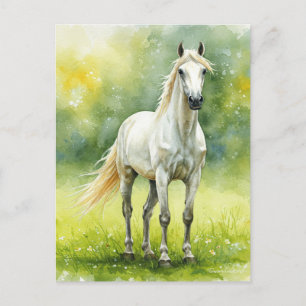 Wit Paard Weide Elegante Waterverf Ansichtkaart Feestdagenkaart