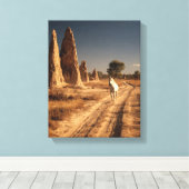 Wit Paard Woestijn Monoliet Schilderij Canvas Afdruk (Insitu (Houten vloer))