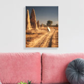 Wit Paard Woestijn Monoliet Schilderij Canvas Afdruk (Insitu (Woonkamer))