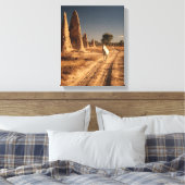 Wit Paard Woestijn Monoliet Schilderij Canvas Afdruk (Insitu (Slaapkamer))
