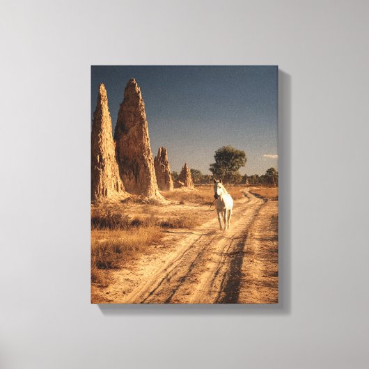 Wit Paard Woestijn Monoliet Schilderij Canvas Afdruk (Voorkant)