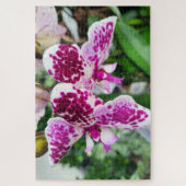 Wit-Paarse Phalaenopsis, Moth Orchids Legpuzzel (Verticaal)