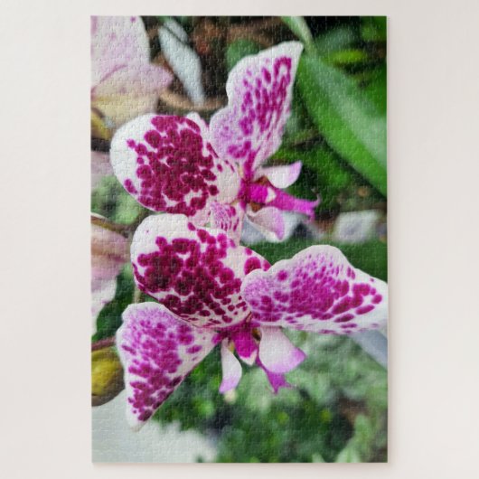 Wit-Paarse Phalaenopsis, Moth Orchids Legpuzzel (Verticaal)