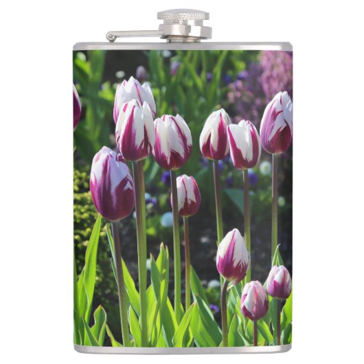 Wit-paarse tulpen heupfles (Voorkant)