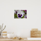 Wit Paarse Viooltje Foto Poster (Keuken)