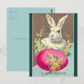  wit paashaas met felroze eitje briefkaart (Voorkant / Achterkant)