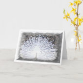 wit pauwwenskaart kaart (Gele Bloem)