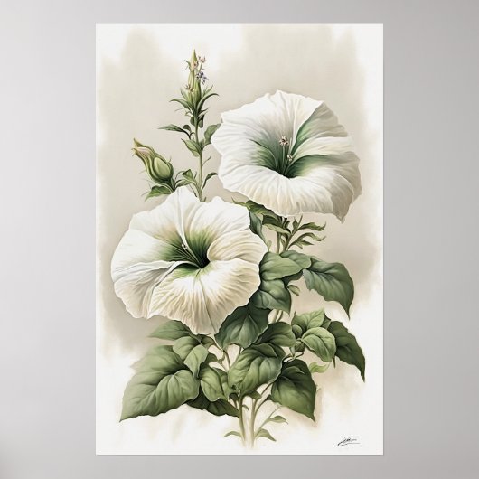Wit Petunias Bloemen Art Print Poster (Voorkant)