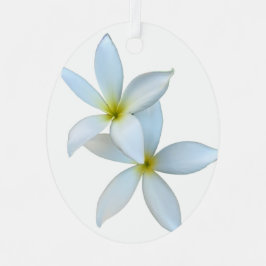 Wit Plumeria Bloom Metal Ornament