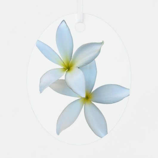 Wit Plumeria Bloom Metal Ornament (Achterkant)