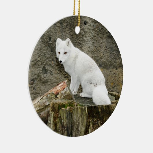 Wit-poolse kerstboomschildpad keramisch ornament (Rechts)