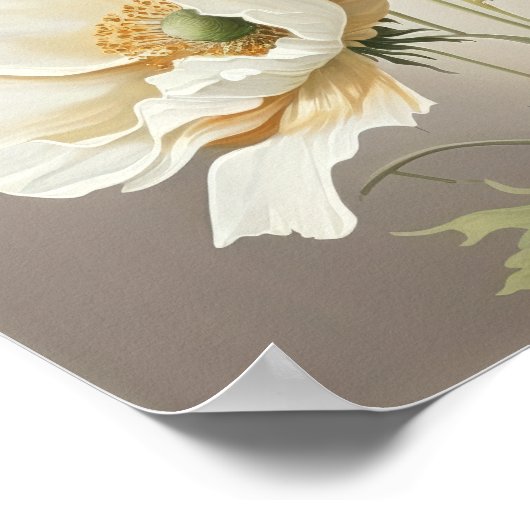 Wit Poppy Flowers Art Print Poster (Hoek)