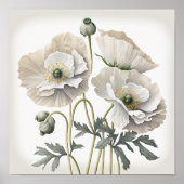 Wit Poppy Flowers Art Print Poster (Voorkant)