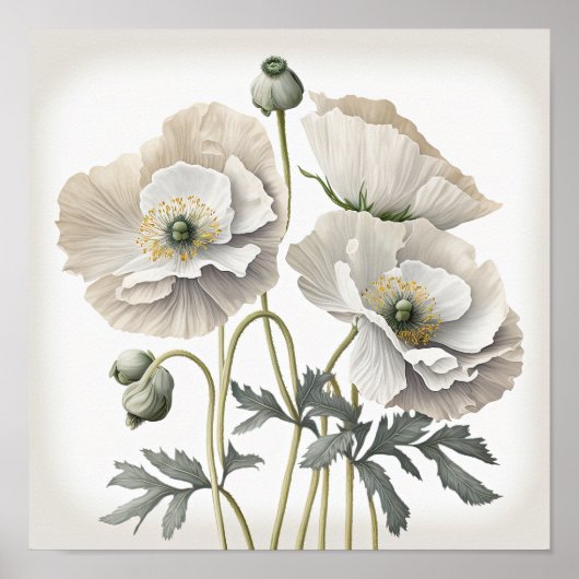 Wit Poppy Flowers Art Print Poster (Voorkant)