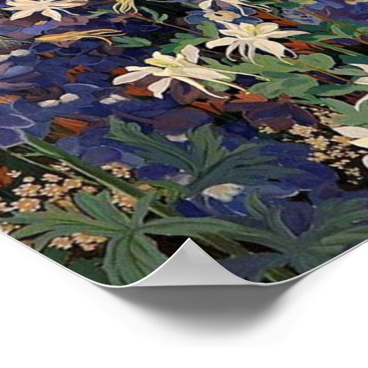  wit Poster Peacock (Hoek)