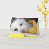 Wit Puppy, het Gele Algemene Denken aan u Kaart (Gele Bloem)