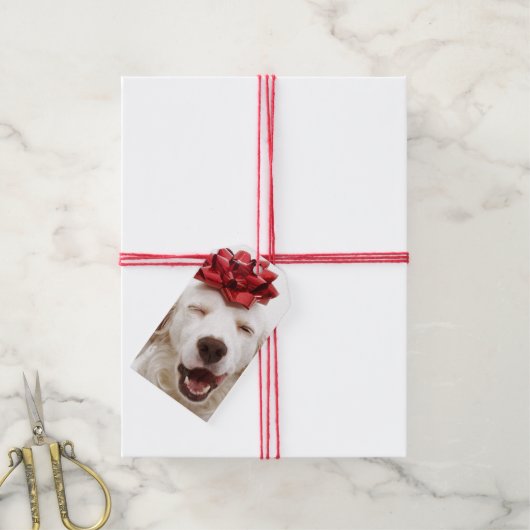 WIT-RETRIEVER MET RODE BEELDSCHERM LABEL CADEAULABEL (Met Touw)