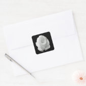 wit-roos-op-de-zwarte-achtergrond vierkante sticker (Envelop)