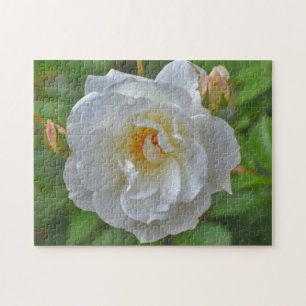wit rose bloem kunst puzzel legpuzzel