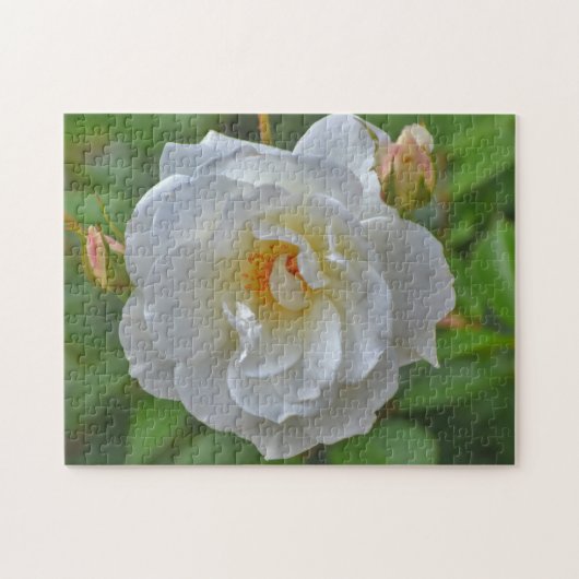  wit rose bloem kunst puzzel legpuzzel (Horizontaal)