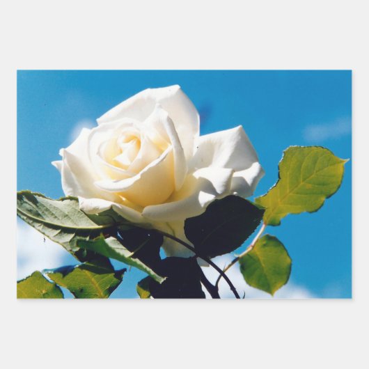 Wit Rose Blue Sky Inpakpapier Vel (Voorkant 3)