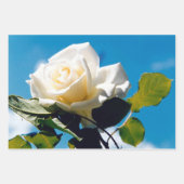  Wit Rose Blue Sky Inpakpapier Vel (Voorkant 2)