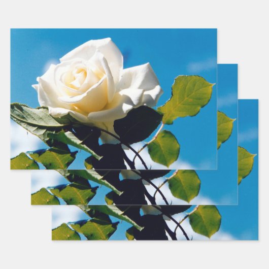  Wit Rose Blue Sky Inpakpapier Vel (Set)