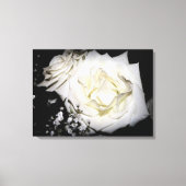 Wit Rose Canvas Afdruk (Voorkant)