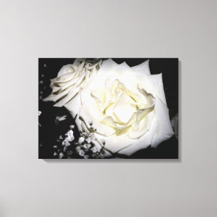 Wit Rose Canvas Afdruk