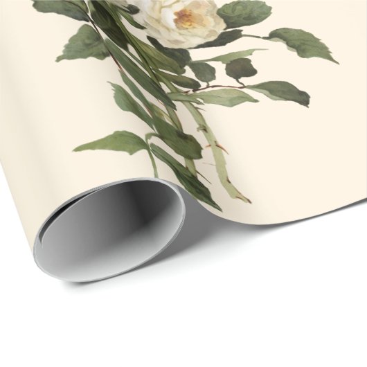  wit roze bloemkool cadeaupapier (Rol Hoek)