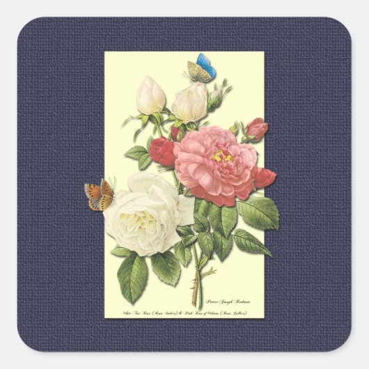 Wit Roze  Botanische Rozen Sticker (Voorkant)