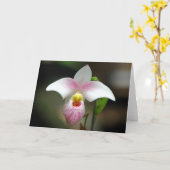 Wit/roze Orchidee Wenskaart Kaart (Gele Bloem)